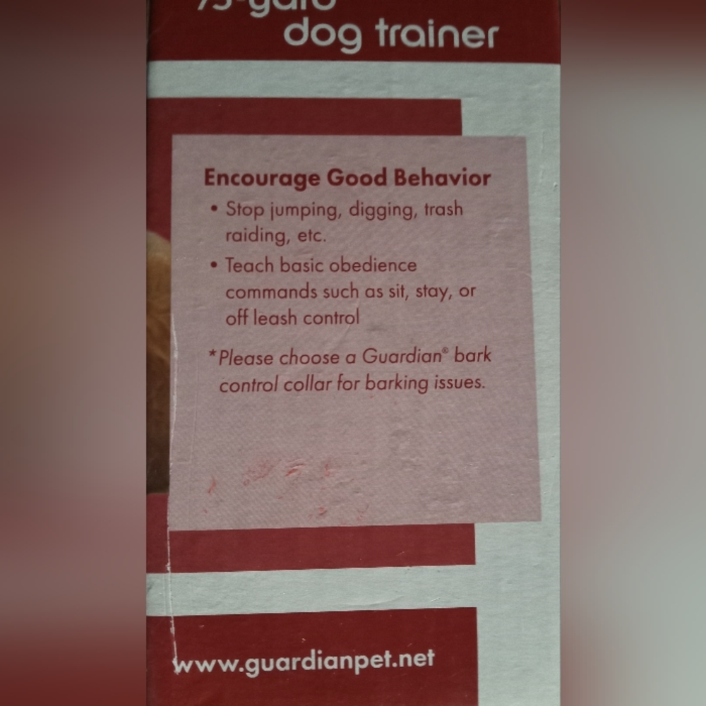 Dog trainer - Picture 2 of 3